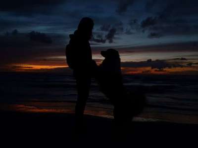 Foto's und Hundemodels-Beitrag-Bild