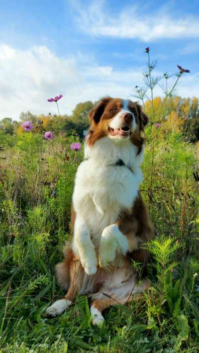 Fotochallenge Nr.65-Beitrag-Bild