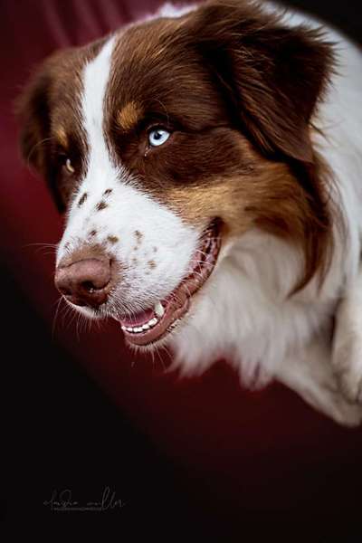 Fotochallenge Nr. 67: Euer Lieblingsbild-Beitrag-Bild