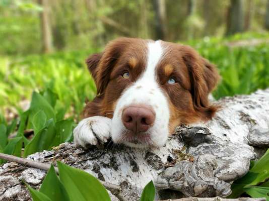 Bright side of life! Schönwetter-Thread-Beitrag-Bild