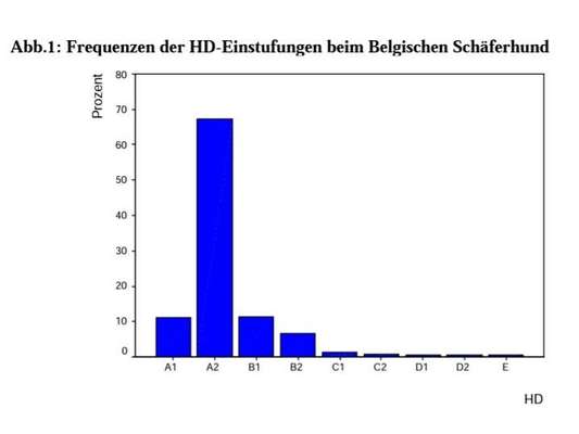 Hüft Problem Hund...-Beitrag-Bild