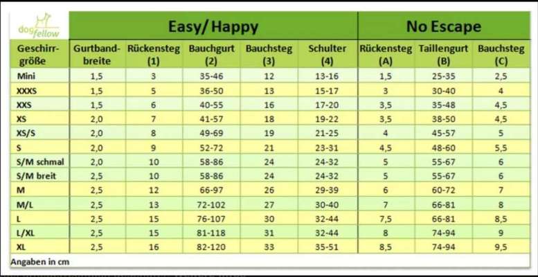 Aussies-Beitrag-Bild