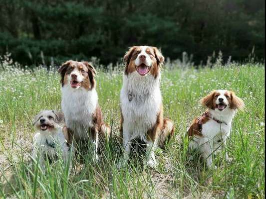 Fotochallenge 88-Beitrag-Bild