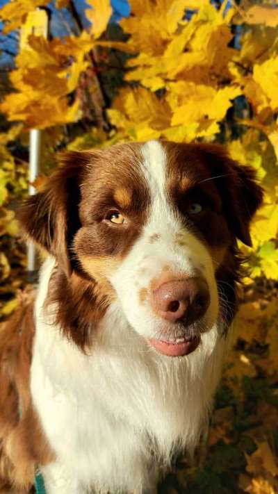 Fotochallange Nr. 57     PORTRÄT.   Beendet!!!!!!!!-Beitrag-Bild