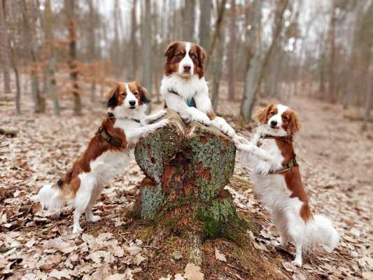 Ton in Ton-Beitrag-Bild