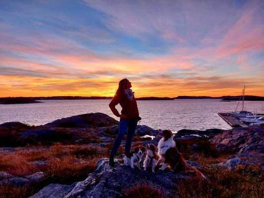 Sonnenaufgänge oder - untergänge-Beitrag-Bild