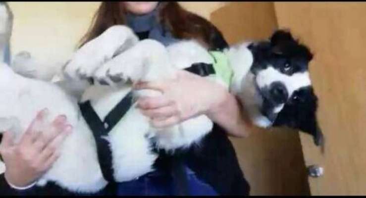 Erfolgsgeschichten gesucht-Beitrag-Bild