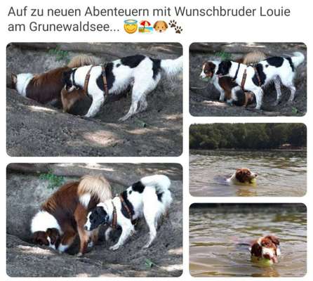 Erfolgsgeschichten gesucht-Beitrag-Bild