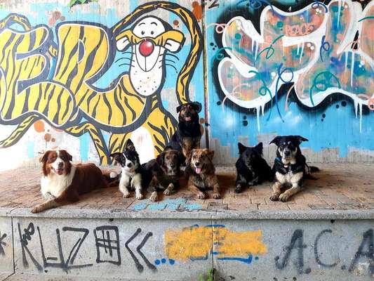 Stadt fotos-Beitrag-Bild