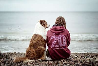 Foto's und Hundemodels-Beitrag-Bild