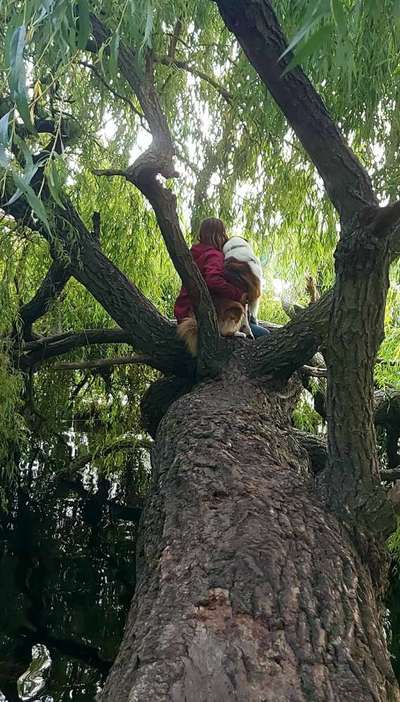 Fotochallenge Nr. 62 Romantische Momente-Beitrag-Bild