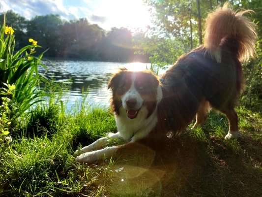 Bright side of life! Schönwetter-Thread-Beitrag-Bild