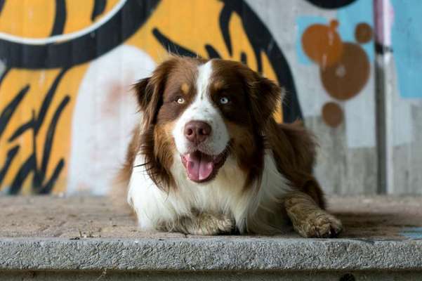 Stadt fotos-Beitrag-Bild