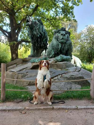 Stadt fotos-Beitrag-Bild