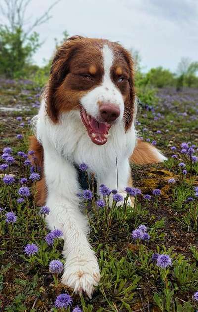 Handy-foto Challange nr. 11-Beitrag-Bild