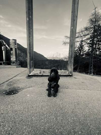 Farben Fotochallenge Thema ,,Grün"-Beitrag-Bild