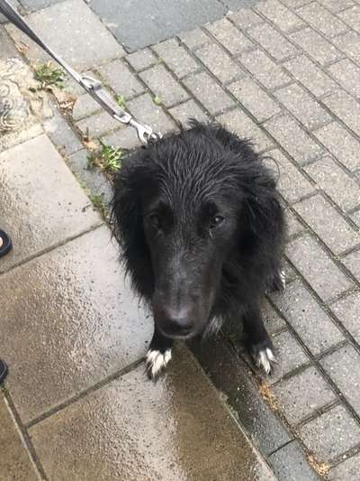 Herbst Bilder-Beitrag-Bild