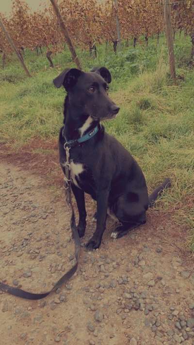 Lieblingsbild-Beitrag-Bild