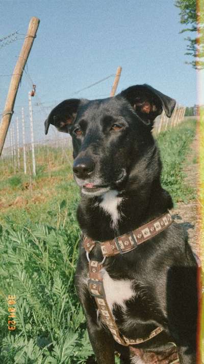 Lieblingsbild-Beitrag-Bild