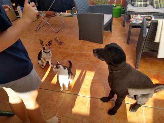 Lieblingsbild-Beitrag-Bild