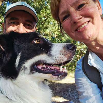 TierschutzhundeStammtisch🐕-Beitrag-Bild