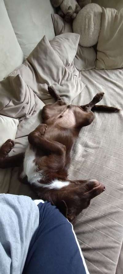 Foto Challenge - Zeigt her eure Bäuche-Beitrag-Bild