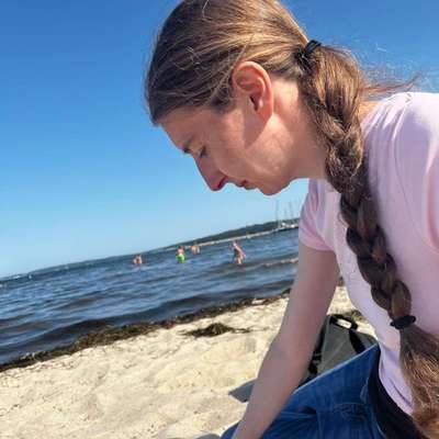 Hundetreffen-Spiel runde