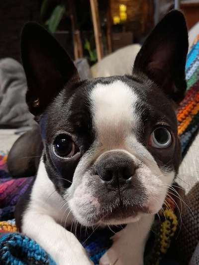 Fotochallange Nr. 57     PORTRÄT.   Beendet!!!!!!!!-Beitrag-Bild