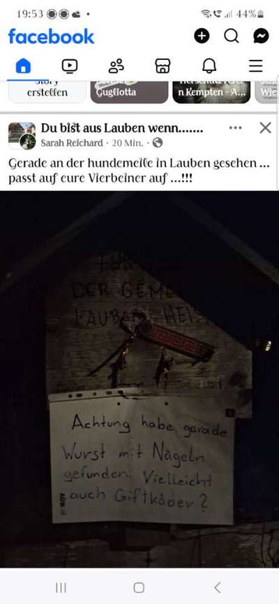 Giftköder-Wurst mit Nägeln-Bild