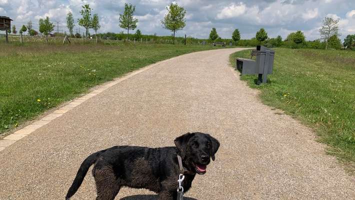 Dogorama-Monats-Challenge-Mai "Wasser"-Beitrag-Bild