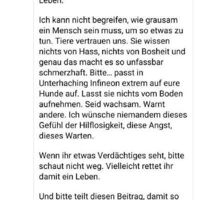 Giftköder-Gift ausgelegt-Bild