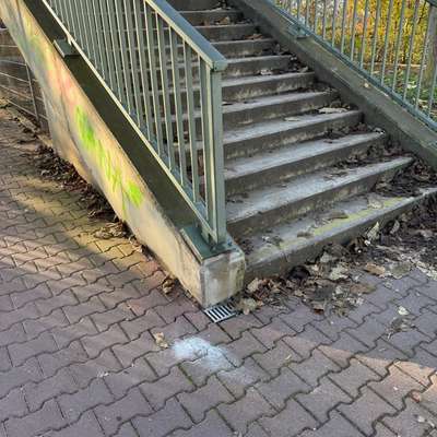 Giftköder-Gift?-Bild