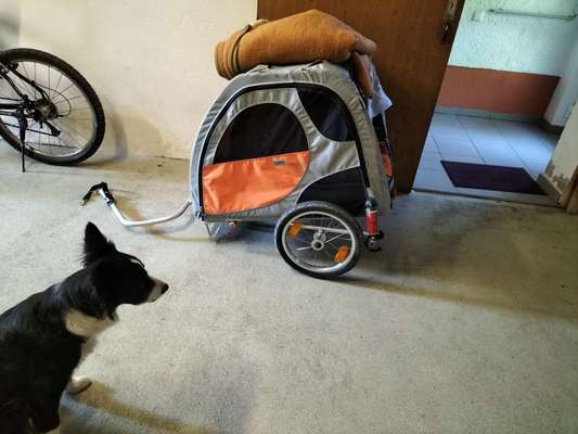 Hundeanhänger für das Fahrrad-Beitrag-Bild