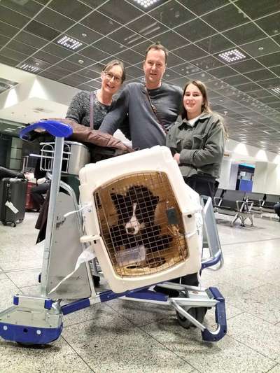 TierschutzhundeStammtisch🐕-Beitrag-Bild