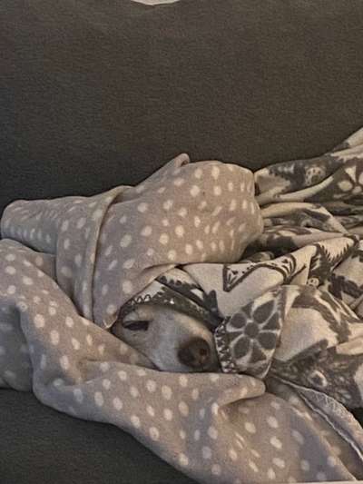 80. Foto  Challenge - Versteckt/ in einer Höhle-Beitrag-Bild