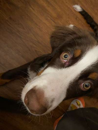 Fleck unterm Auge-Beitrag-Bild