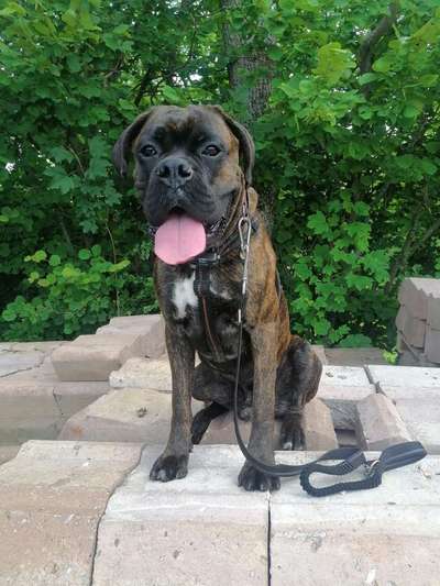 Lieblingsbild :D-Beitrag-Bild