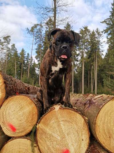 Doppelgänger gesucht !-Beitrag-Bild