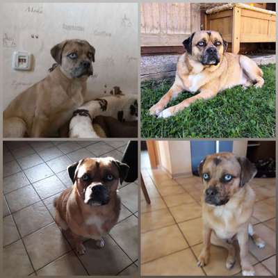 Lieblingsbild-Beitrag-Bild