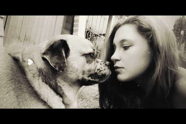 Euer absolutes lieblings Bild !-Beitrag-Bild