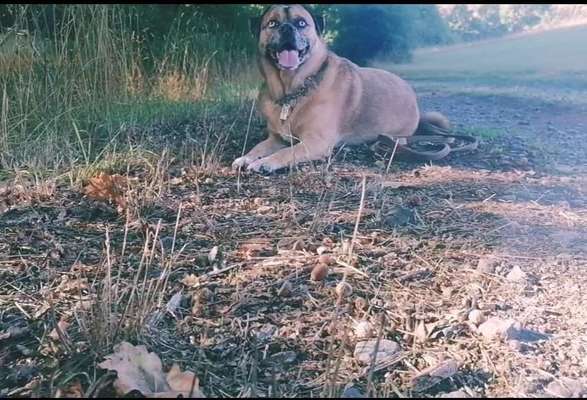 Herbst Bilder-Beitrag-Bild