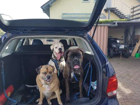 Handy-Foto-Challange Nr. 8-Beitrag-Bild