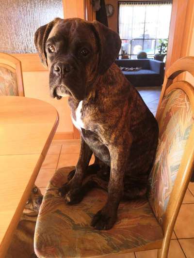 Gibt es Namens-Verwandte-Beitrag-Bild