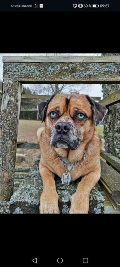 Doppelgänger gesucht !-Beitrag-Bild