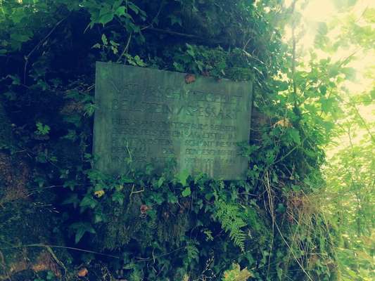 29. Collagen Challenge - Wandern mit Hund-Beitrag-Bild