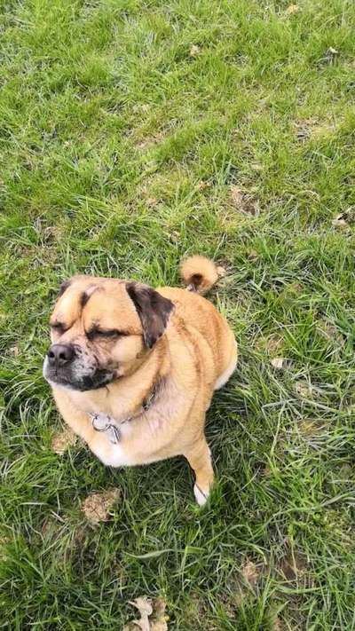 Fotochallenge No. 26                                     Wald und Wiese-Beitrag-Bild