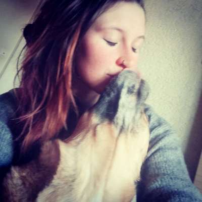 Küsschenbilder-Beitrag-Bild