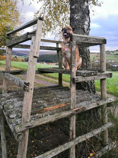Gibt es Namens-Verwandte-Beitrag-Bild