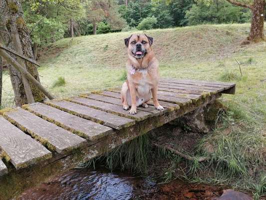 Theos  Fotochallenge Nummer 2-Beitrag-Bild