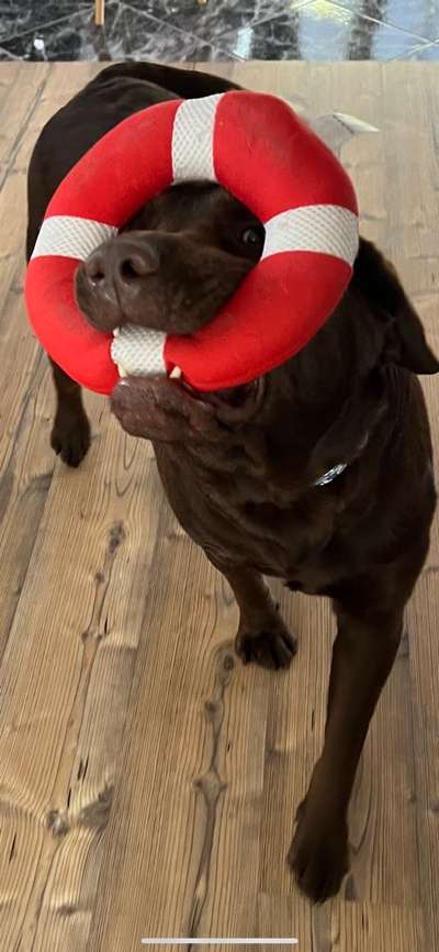 15. Handyfoto Challenge - Indoor Aktivitäten-Beitrag-Bild